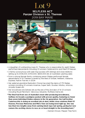 Lot 9: Panzer Division / St. Therese