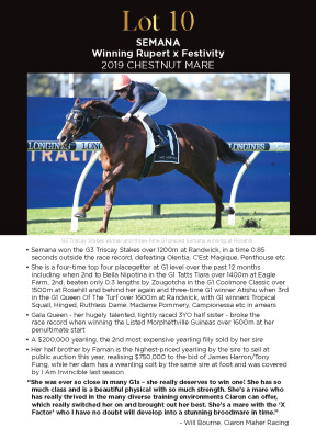 Lot 10: Winning Rupert / Festivity