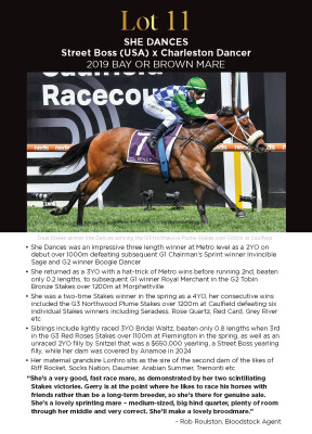 Lot 11: Street Boss (USA) / Charleston Dancer