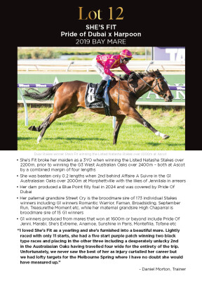 Lot 12: Pride of Dubai / Harpoon