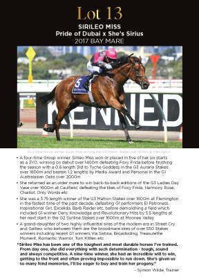 Lot 13: Pride of Dubai / She's Sirius