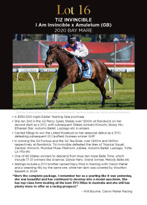 Lot 16: I Am Invincible / Amuletum (GB)