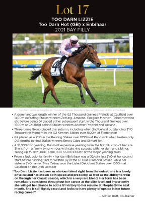 Lot 17: Too Darn Hot (GB) / Enbihaar