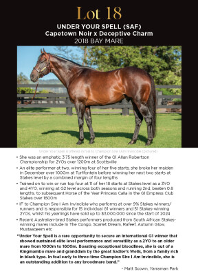 Lot 18: Capetown Noir (SAF) / Deceptive Charm (IRE)