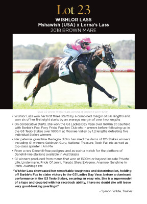 Lot 23: Mshawish (USA) / Lorna's Lass