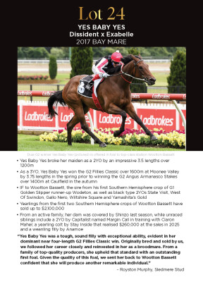 Lot 24: Dissident / Exabelle