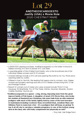 Lot 29: Justify (USA) / Movie Role