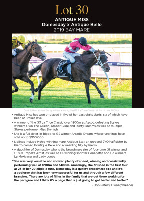 Lot 30: Domesday / Antique Belle