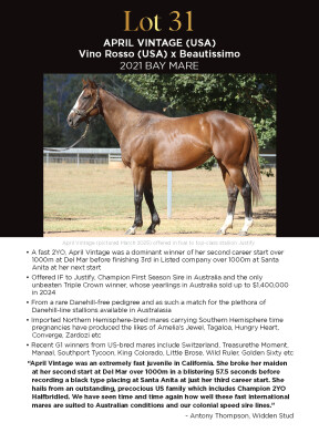 Lot 31: Vino Rosso (USA) / Beautissimo (USA)