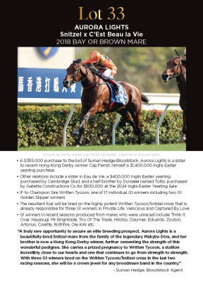 Lot 33: Snitzel / C'Est Beau la Vie