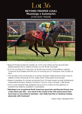 Lot 36: Munnings (USA) / Summerlin (USA)