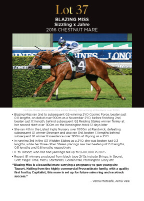 Lot 37: Sizzling / Jahre