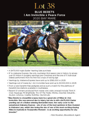 Lot 38: I Am Invincible / Peace Force