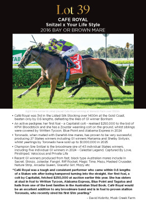 Lot 39: Snitzel / Your Life Style