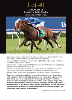 Lot 40: Lonhro / Gold Rocks