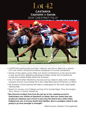 Lot 42: Capitalist / Ganda