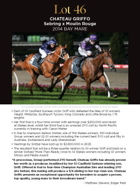 Lot 46: Sebring / Moulin Rouge