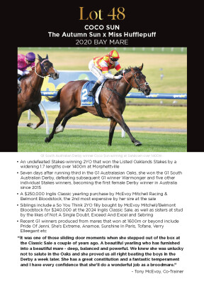 Lot 48: The Autumn Sun / Miss Hufflepuff