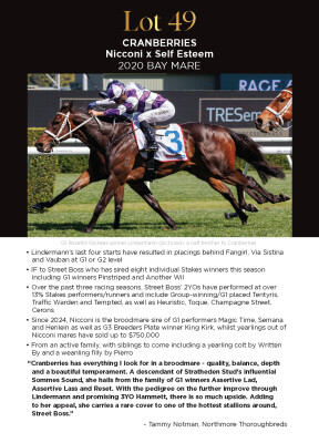 Lot 49: Nicconi / Self Esteem