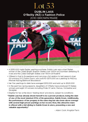 Lot 53: O'Reilly (NZ) / Fashion Police