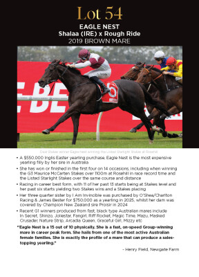 Lot 54: Shalaa (IRE) / Rough Ride