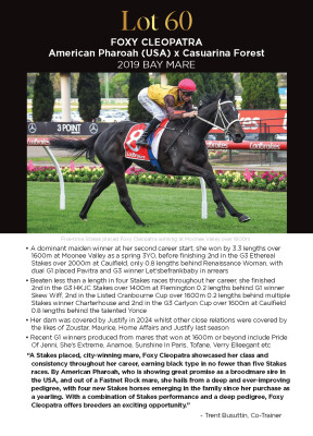 Lot 60: American Pharoah (USA) / Casuarina Forest