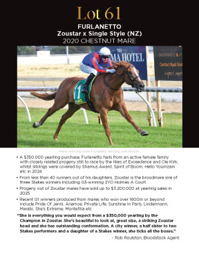 Lot 61: Zoustar / Single Style (NZ)