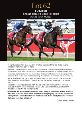 Lot 62: Shalaa (IRE) / Love is Fickle