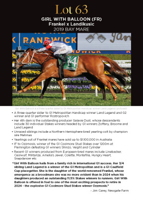 Lot 63: Frankel (GB) / Landikusic (IRE)