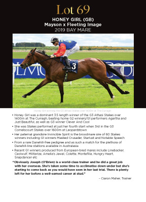 Lot 69: Mayson (GB) / Fleeting Image (GB)