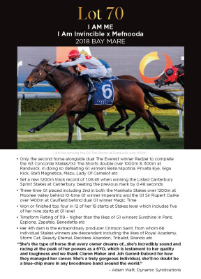 Lot 70: I Am Invincible / Mefnooda