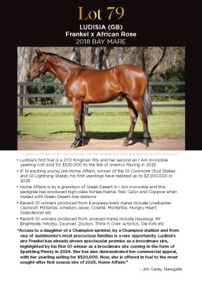 Lot 79: Frankel (GB) / African Rose (GB)