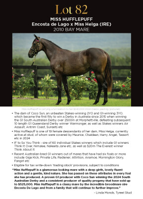Lot 82: Encosta de Lago / Miss Helga (IRE)