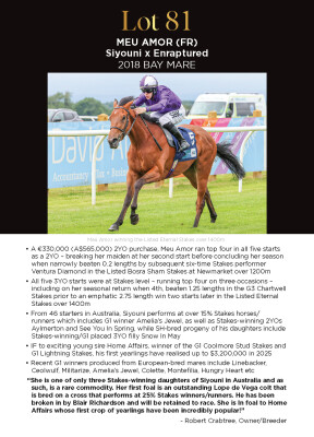 Lot 81: Siyouni (FR) / Enraptured (IRE)