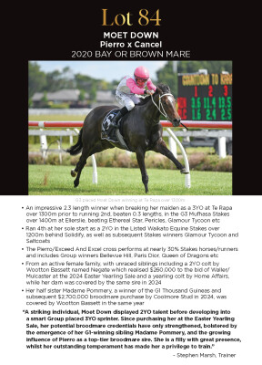 Lot 84: Pierro / Cancel