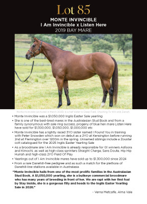 Lot 85: I Am Invincible / Listen Here