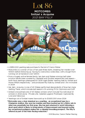 Lot 86: Snitzel / Acqume