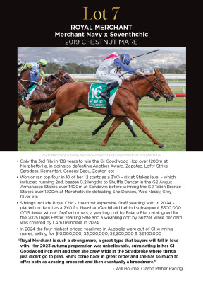 Lot 7: Merchant Navy / Seventhchic