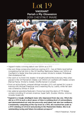 Lot 19: Pariah / My Obsession