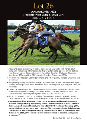 Lot 26: Reliable Man (GB) / Veva Girl