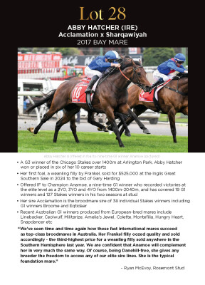 Lot 28: Acclamation (GB) / Sharqawiyah (GB)