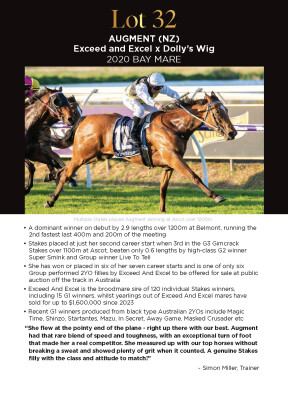 Lot 32: Exceed and Excel / Dolly's Wig