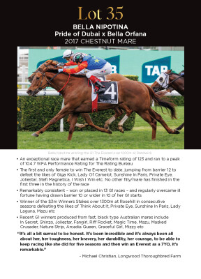 Lot 35: Pride of Dubai / Bella Orfana