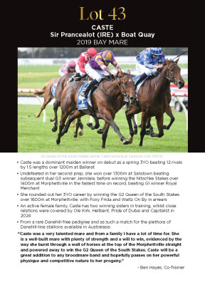 Lot 43: Sir Prancealot (IRE) / Boat Quay