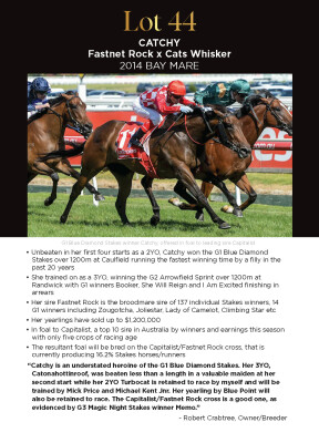 Lot 44: Fastnet Rock / Cats Whisker