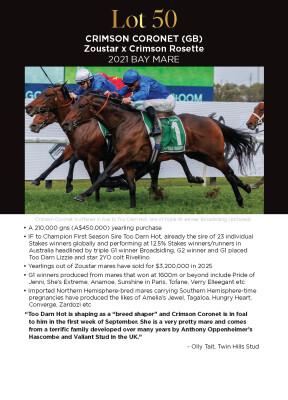 Lot 50: Zoustar / Crimson Rosette (IRE)