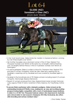 Lot 64: Savabeel / Glee (NZ)