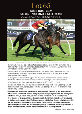 Lot 65: So You Think (NZ) / Gold Rocks