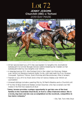 Lot 72: Churchill (IRE) / Tortoni