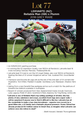 Lot 77: Reliable Man (GB) / Plumm